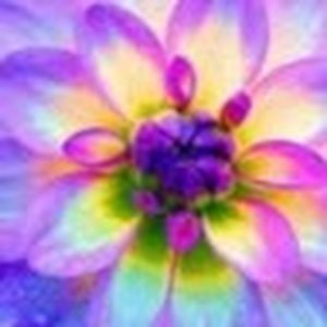 Meet your Posher, Ireland